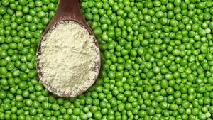 Proteína de Arveja en polvo, proteína vegetal de alta calidad
