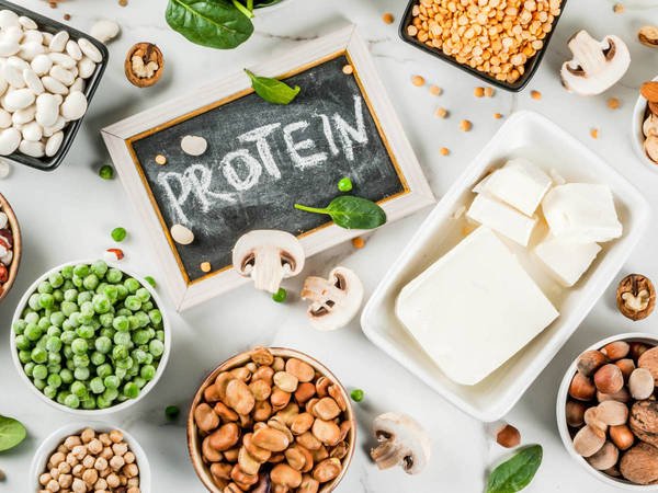 Proteína vegetal y aminoácidos esenciales