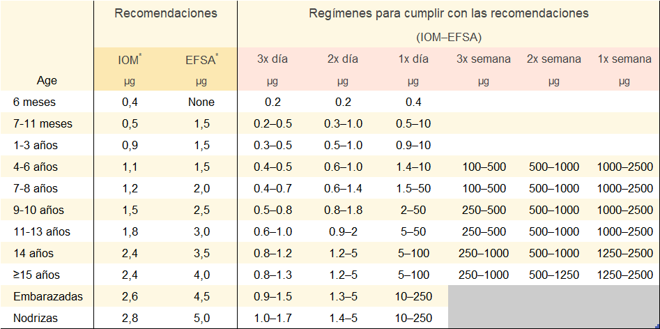 Recomendaciones de ingesta de Vitamina B12