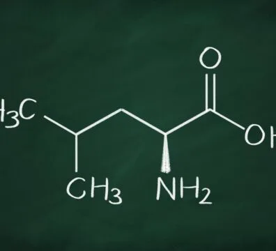 l-leucina