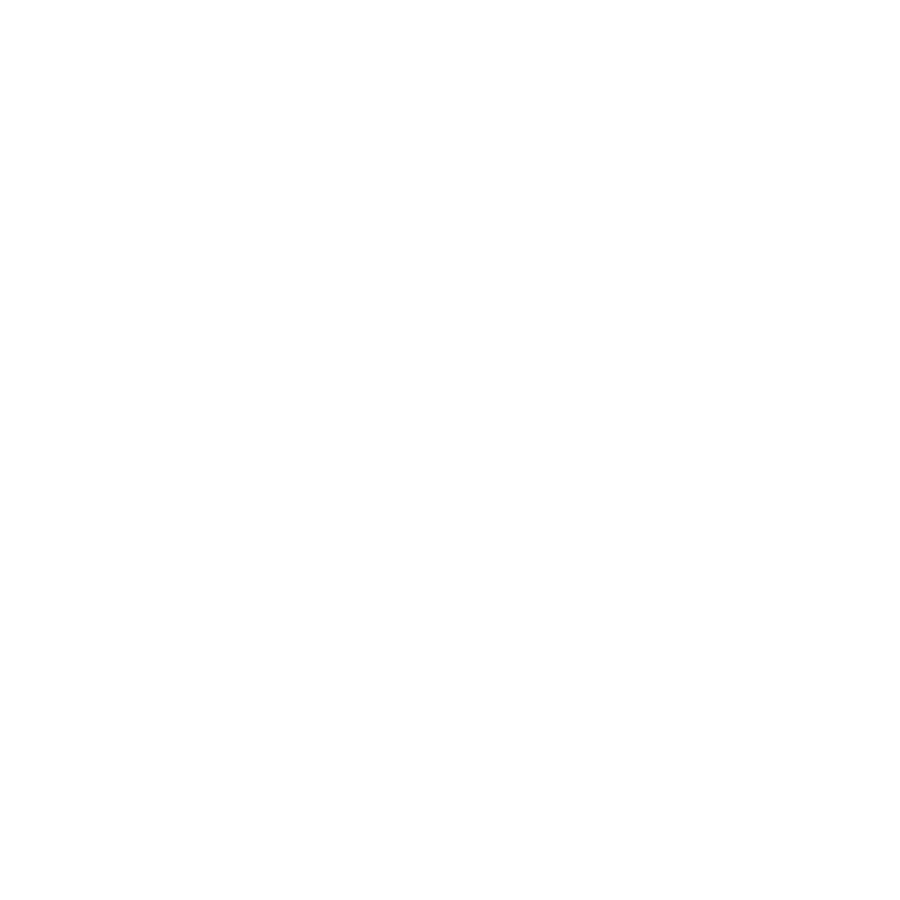 Descuento Vector